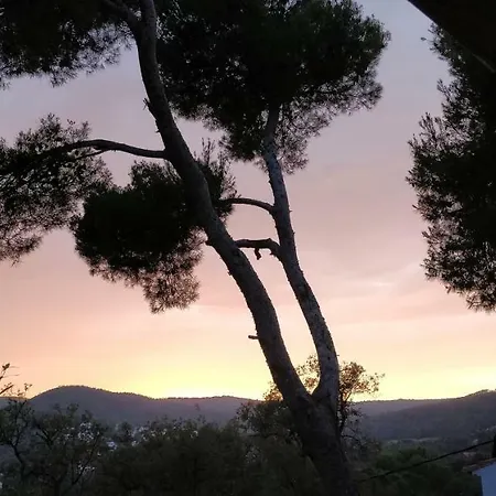Gæstehus Cala Castell Suites *