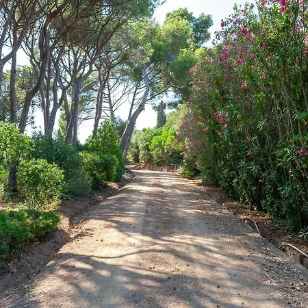 Cala Castell Suites Guest house